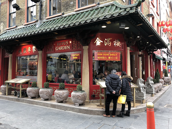 Lotus Garden — London