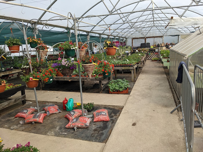 Lound Plant Centre — Lowestoft