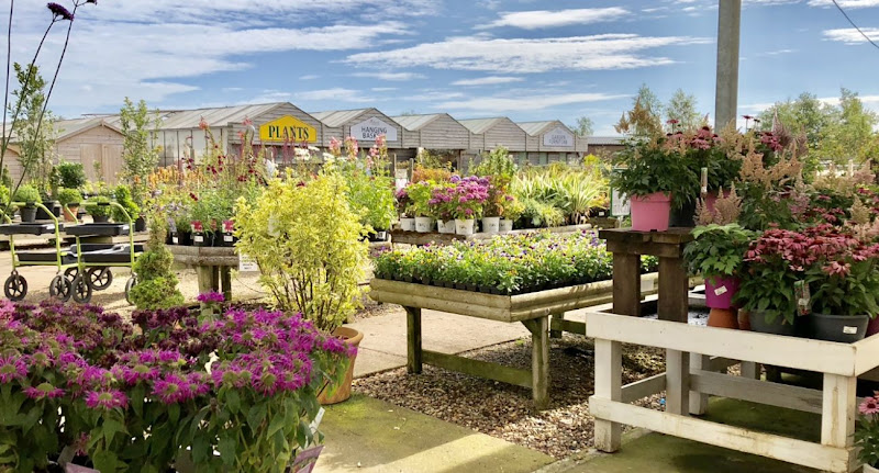 Lyndhurst Garden Centre — Skegness