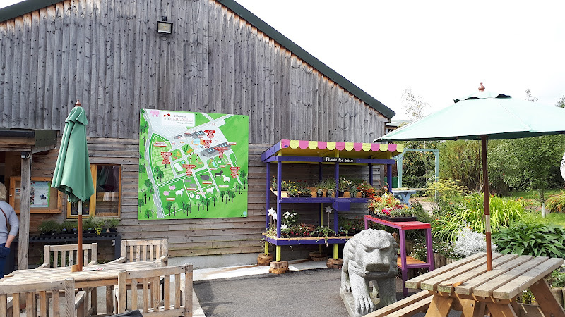 Made-Well Community Interest Company — Okehampton
