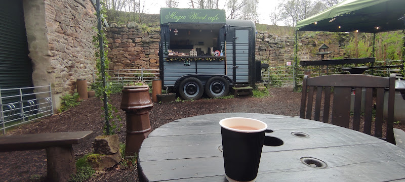 Magic Wood Café