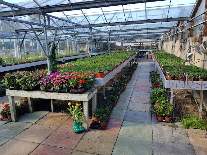 Manorbier Garden Centre