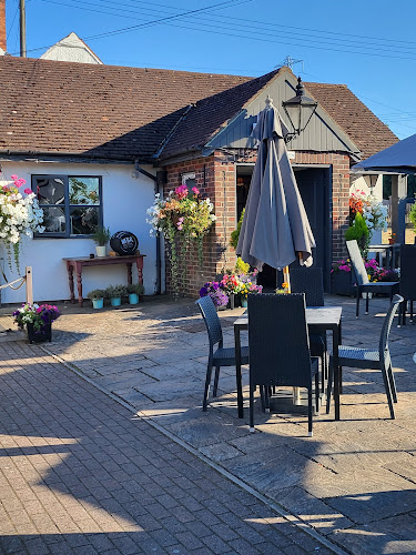 Mare & Colt — Kidderminster
