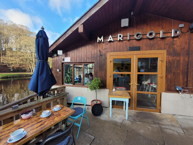 Marigold Cafe & Boating