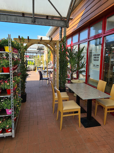 Mayberry Garden Centre — Brighton