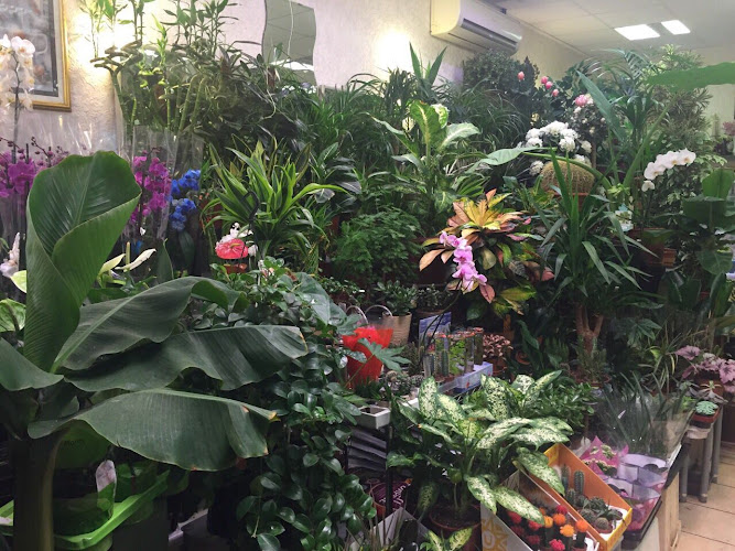 Memento Flowers