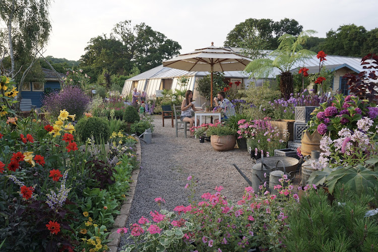 Middlecombe Nursery — Bristol
