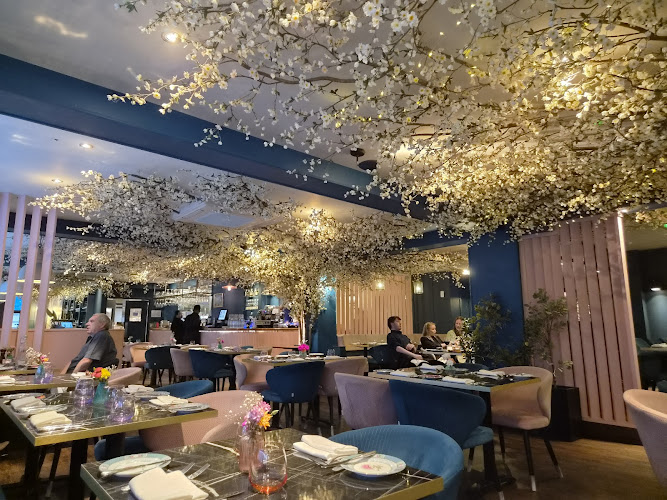 MUSE Brasserie - Bristol