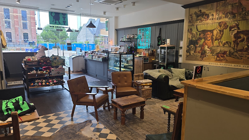 MUTT Everything Dog — Dorchester