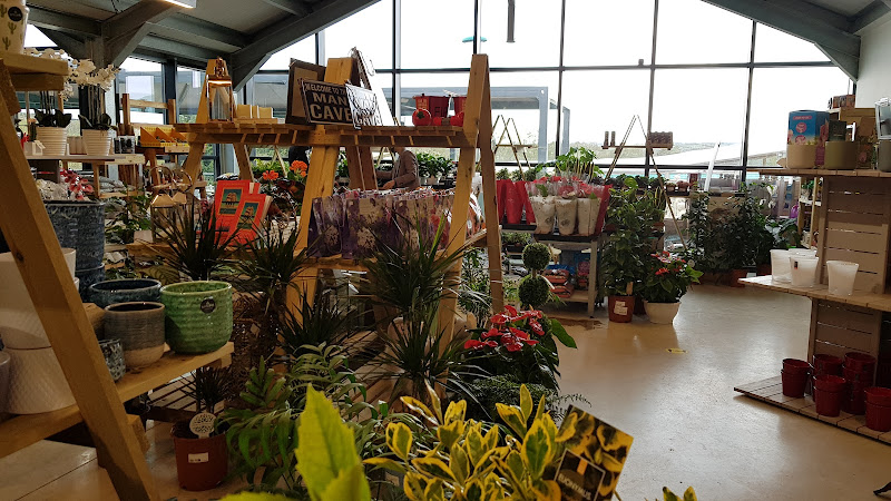 New Leaf Plant Centre — Dronfield
