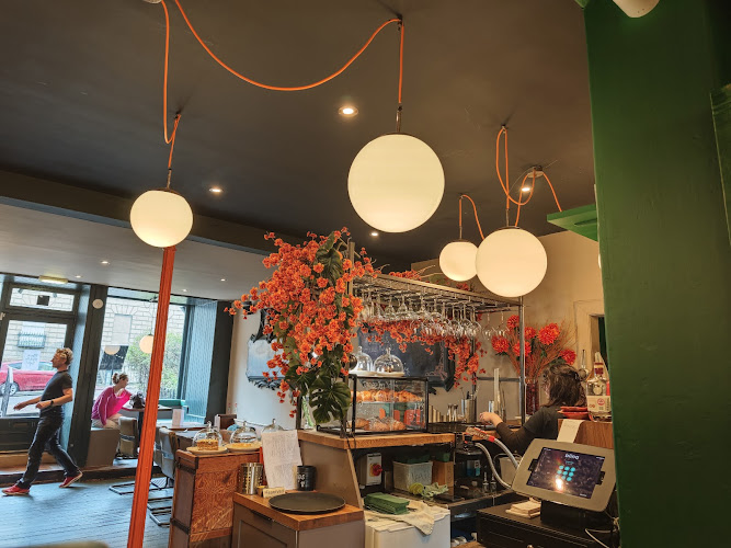 New Town Fox — Edinburgh