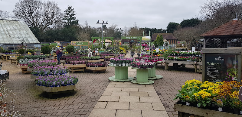 Notcutts Cranleigh
