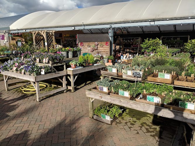 Notcutts Norwich — Norwich