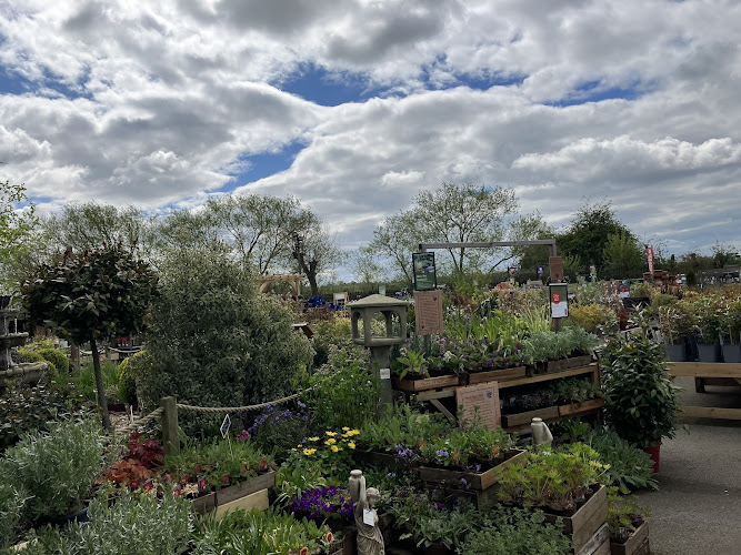Notcutts Victoria — Pontefract