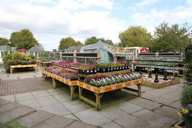 Notcutts Wheatcroft