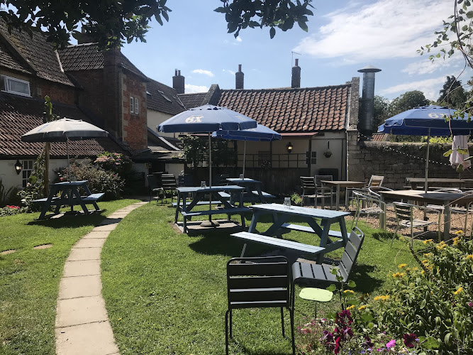 Old Ham Tree — Trowbridge