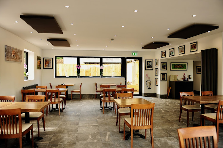 Ollie's Cafe — Highbridge