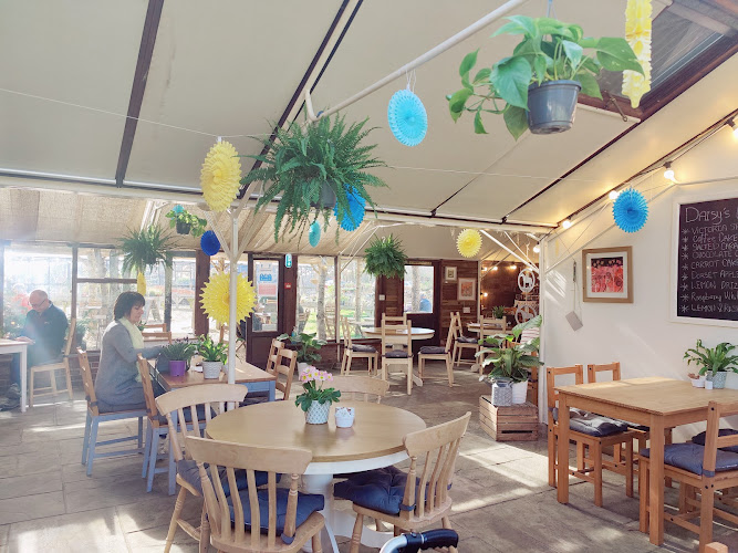 Orchard Cafe — Wareham