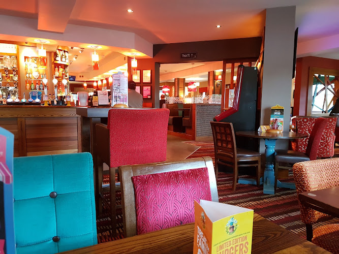 Oystercatcher — Glasgow