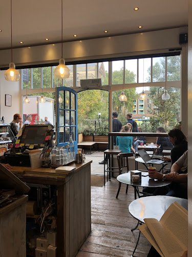 Paper and Cup x SCT — London