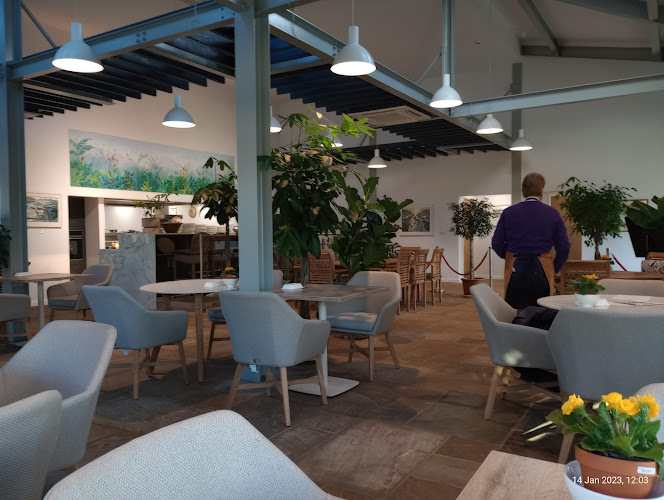 Paradise Cafe at Daleside Nurseries Ltd — Harrogate