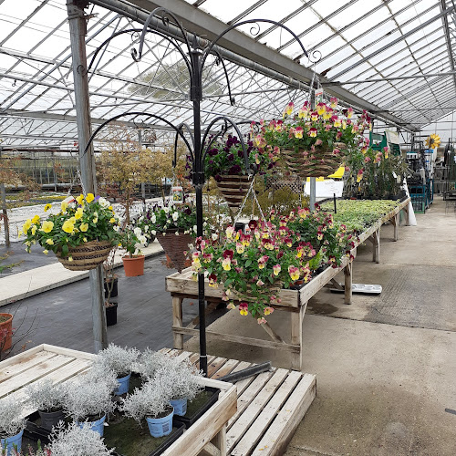 Park Place Farm Nursery Ltd — Fareham