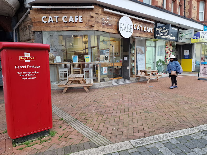 Pause Cat Café — Bournemouth