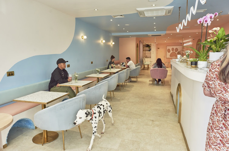 Pawsitive Cafe — London