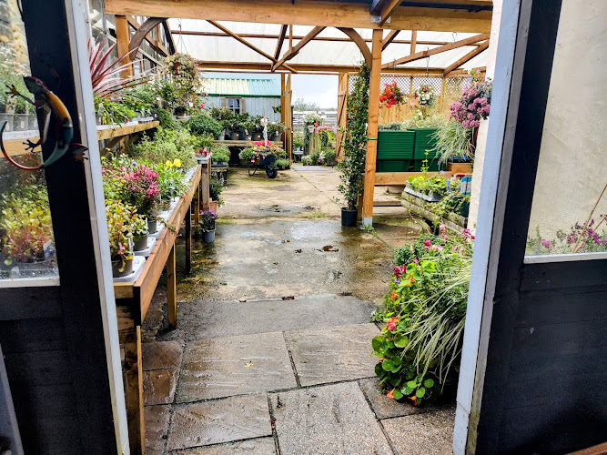 Penrallt Nursery