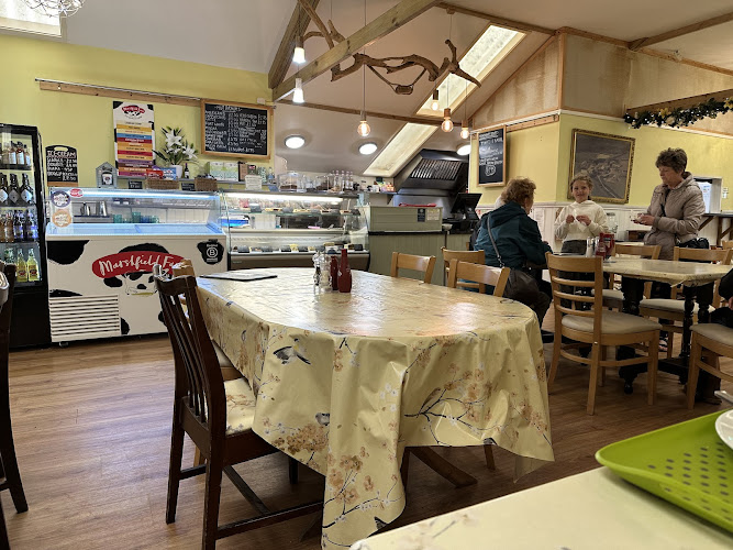 Penrallt Nursery — Cardigan
