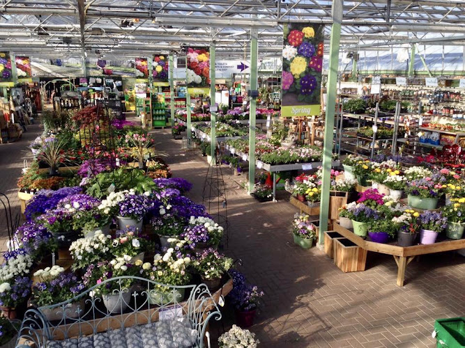 Pentland Plants