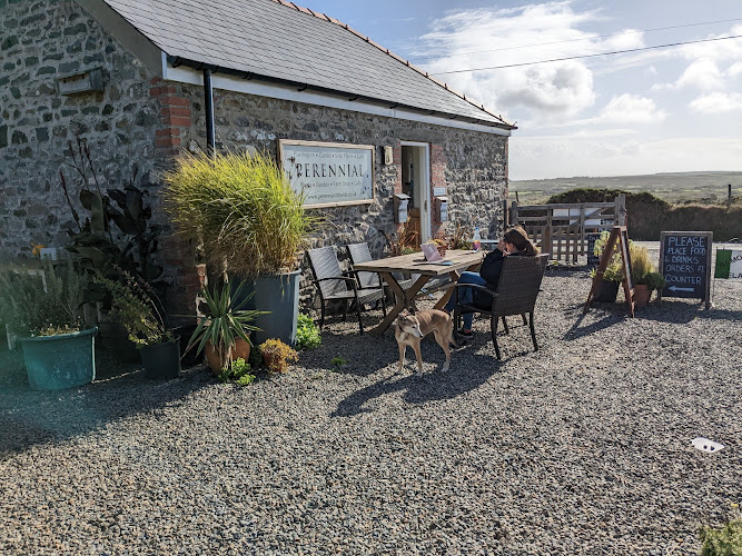 Perennial Cafe and Shop — Haverfordwest
