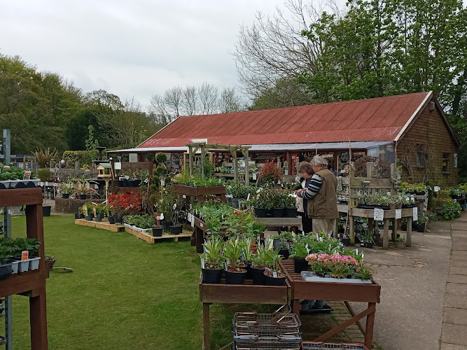 Perry's Plants — Whitby