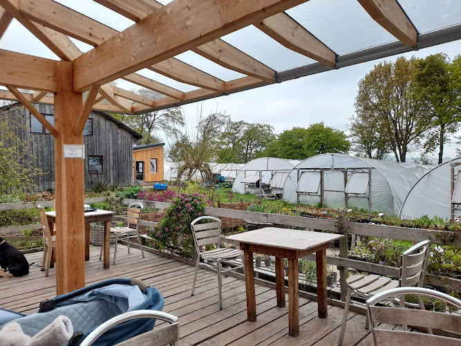 Pillars Of Hercules Organic Farm Shop & Cafe