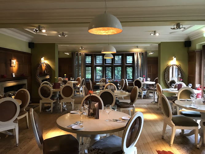 Pine Marten Harrogate — Harrogate