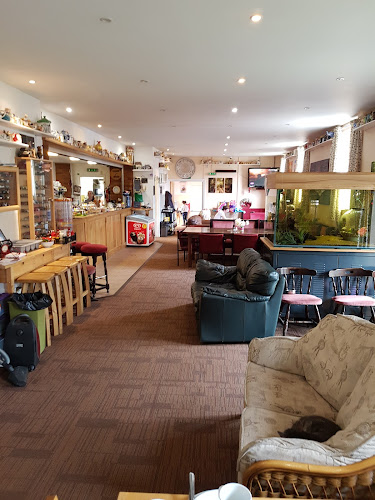Pinewood Bar & Cafe