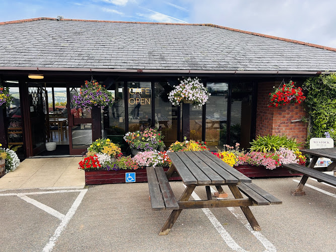 Plant World Gardens, Nursery & Cafe — Newton Abbot