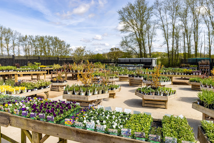 Planters