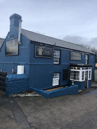 Plume Of Feathers
