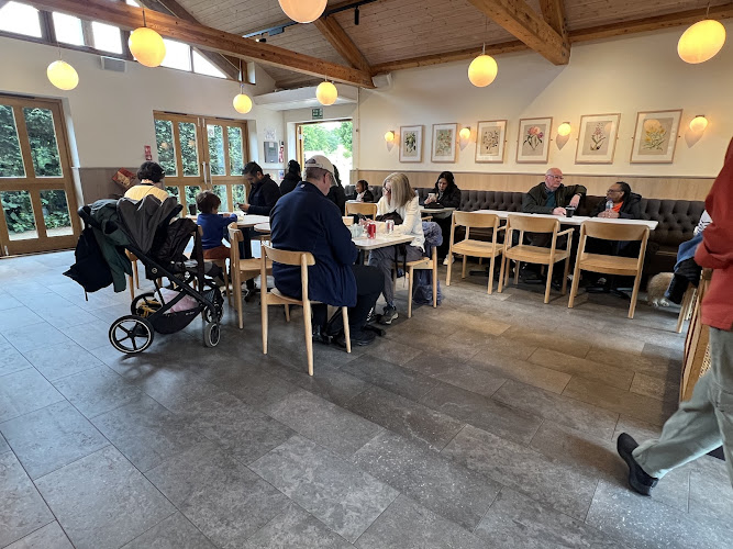 Primrose Hill Café — London