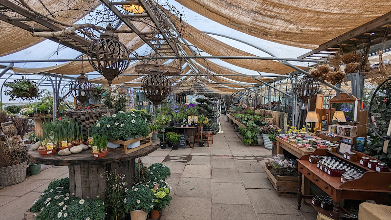 Primrose Hill Nurseries and Cafe — Knutsford