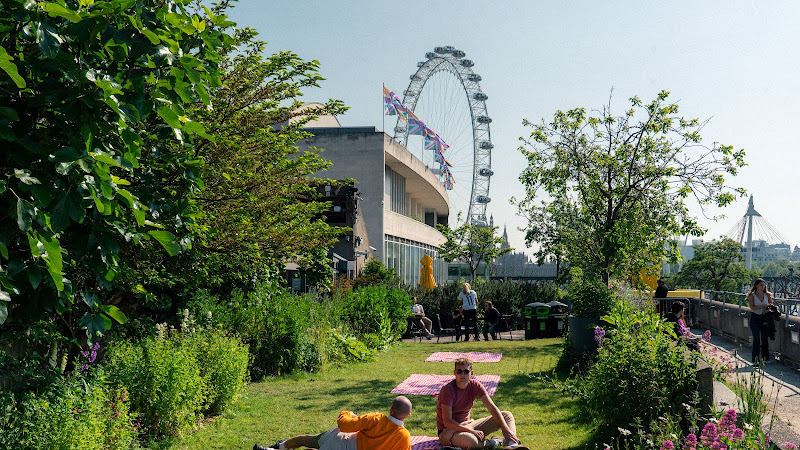 Queen Elizabeth Hall Roof Garden