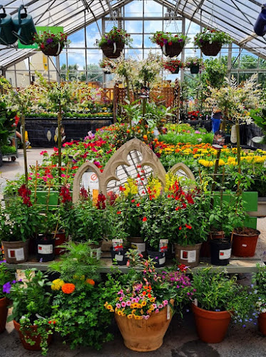 Root One Garden Centre