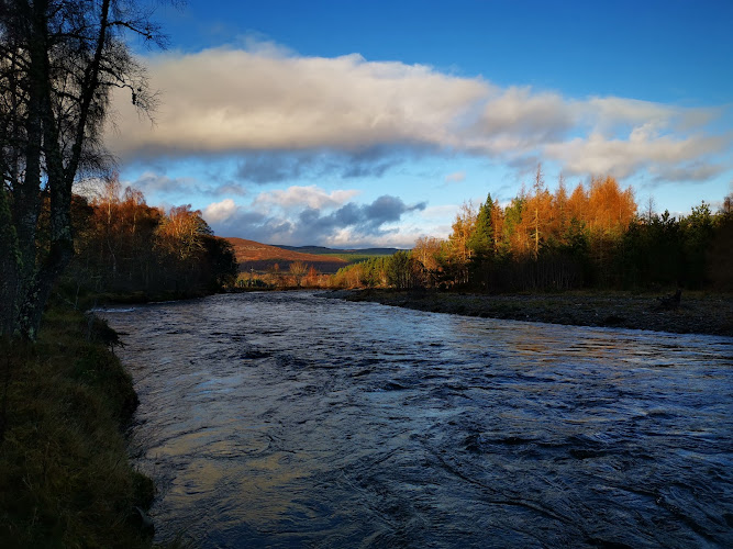 Rothiemurchus — Aviemore