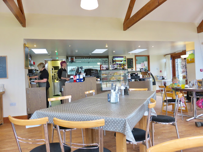 Rowdey Cow Farm Cafe & Ice Cream Parlour