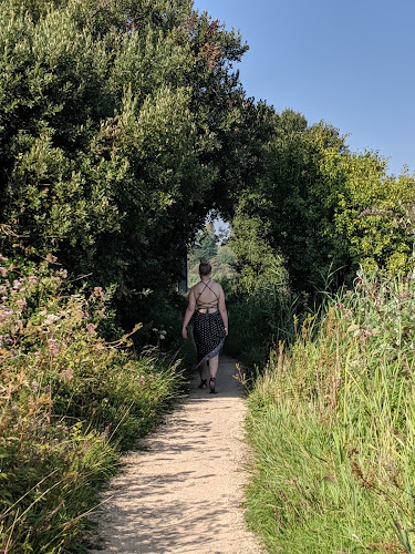 RSPB Radipole Lake