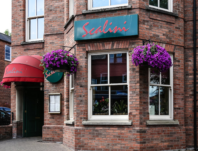 Scalini — Belfast