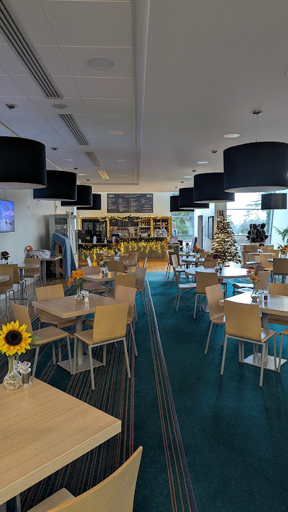 Scene Bistro