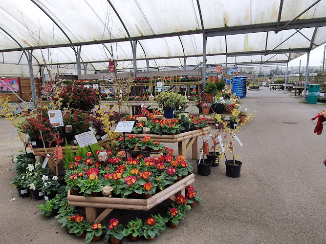 Scothern Nurseries Plant Centre — Lincoln