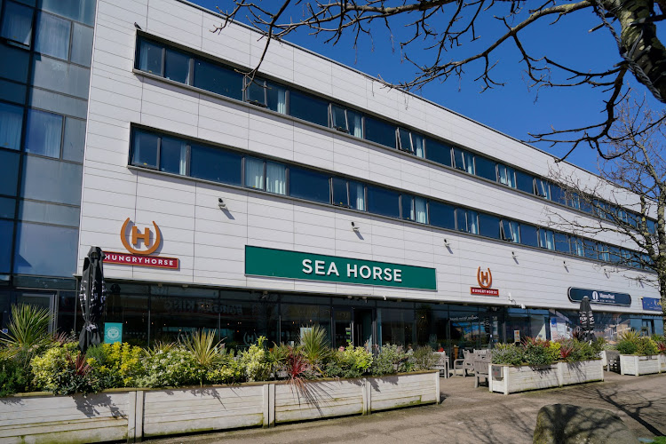 Seahorse